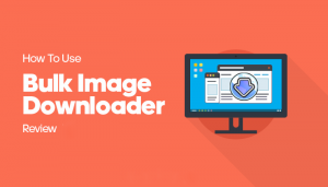 Bulk Image Downloader 6.27 free instal